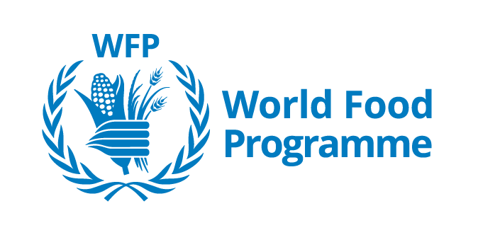 WFP Logo — standard horizontal blue